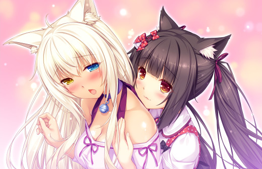 1286357 (a): :1920x1239